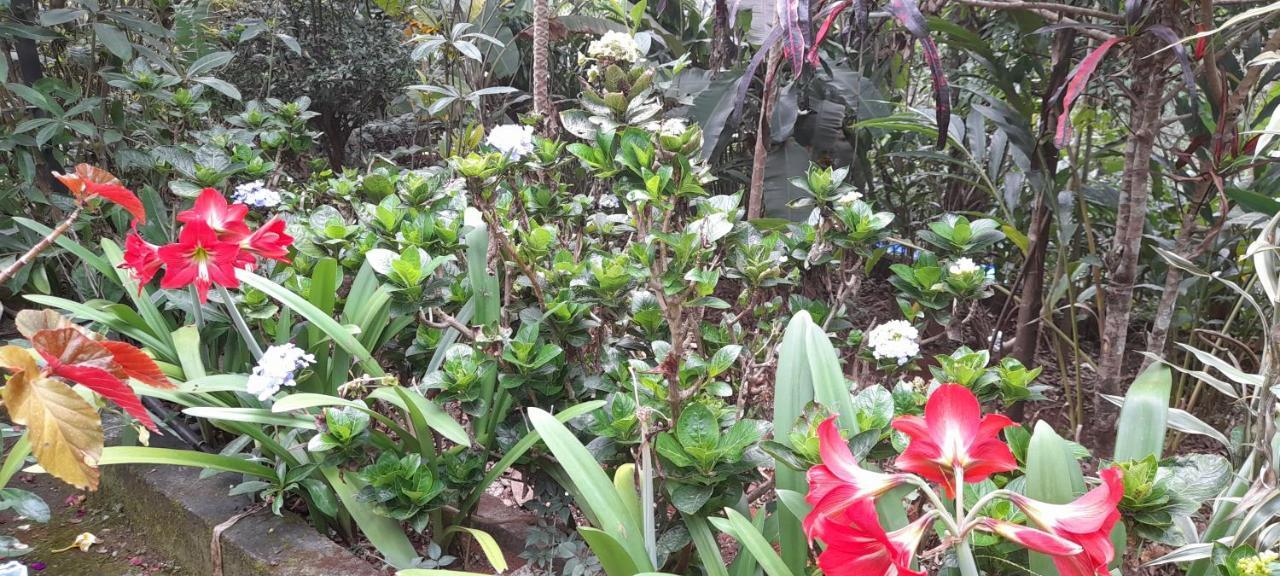 Le Farmhouse Munnar Anachal Екстериор снимка