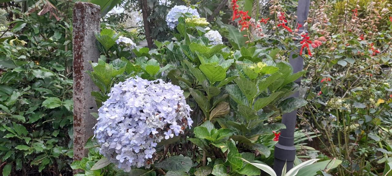 Le Farmhouse Munnar Anachal Екстериор снимка