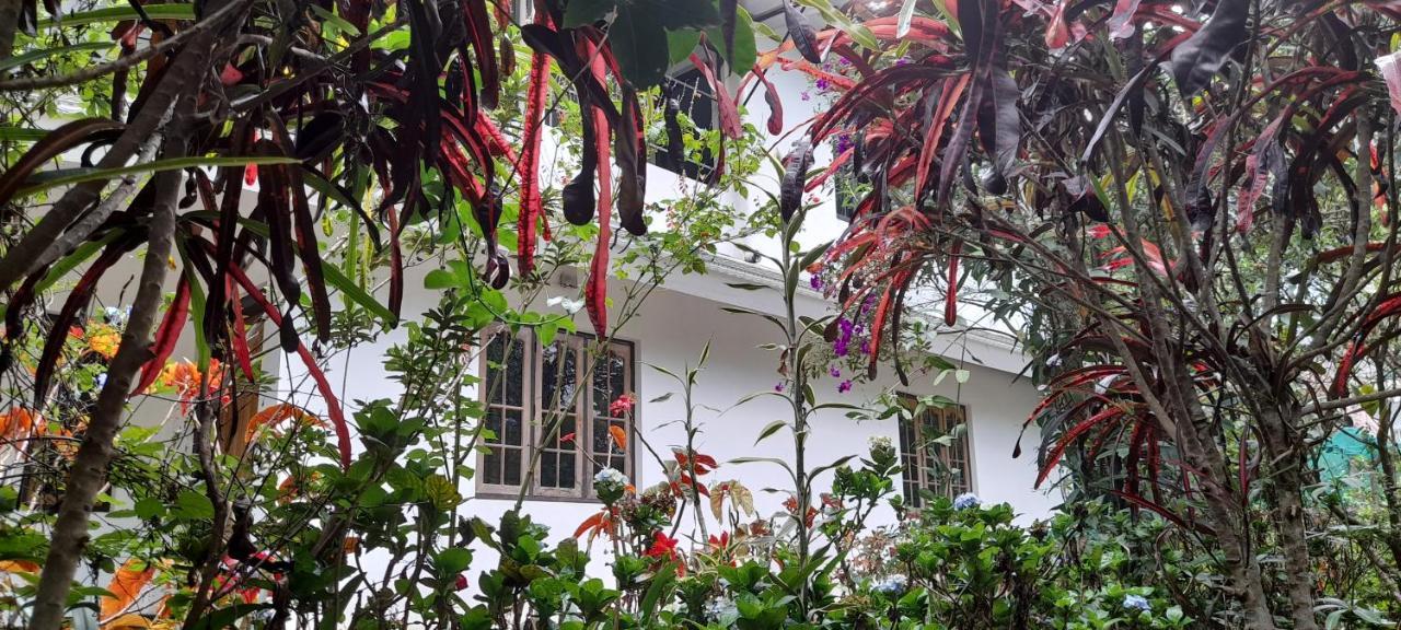 Le Farmhouse Munnar Anachal Екстериор снимка