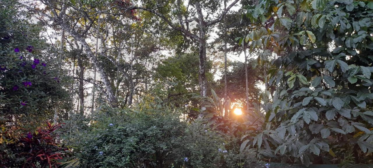 Le Farmhouse Munnar Anachal Екстериор снимка