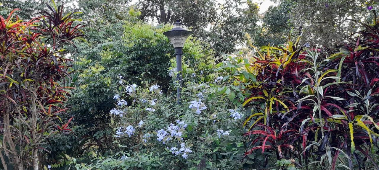 Le Farmhouse Munnar Anachal Екстериор снимка