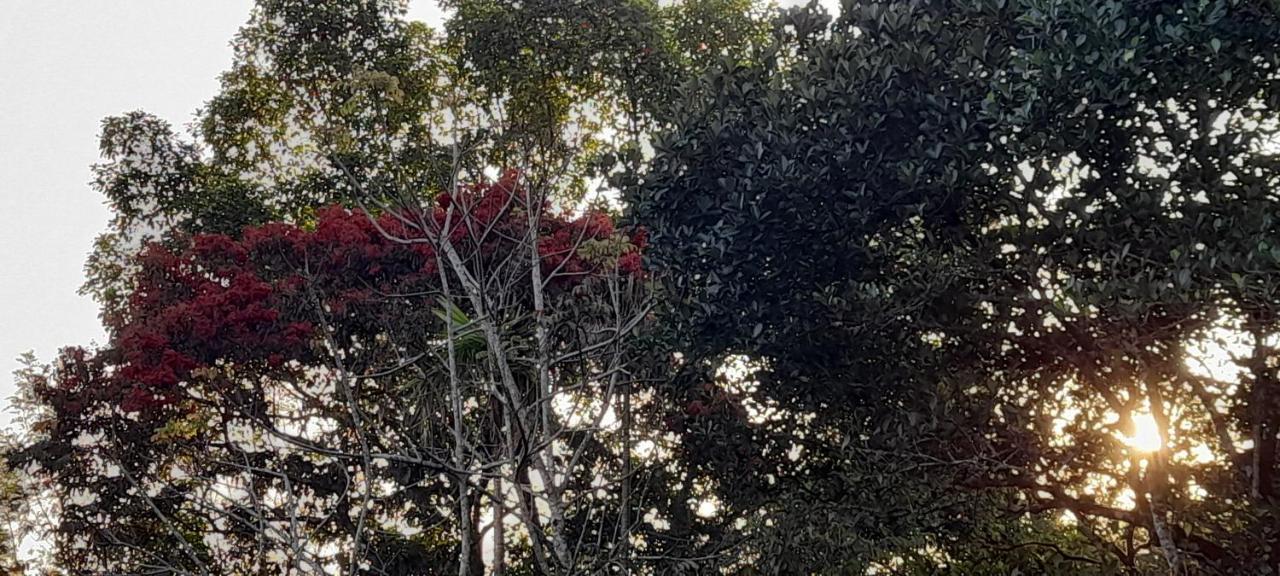 Le Farmhouse Munnar Anachal Екстериор снимка