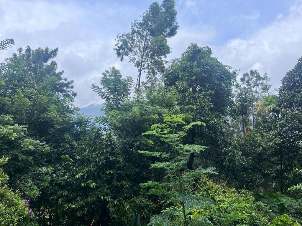Le Farmhouse Munnar Anachal Екстериор снимка